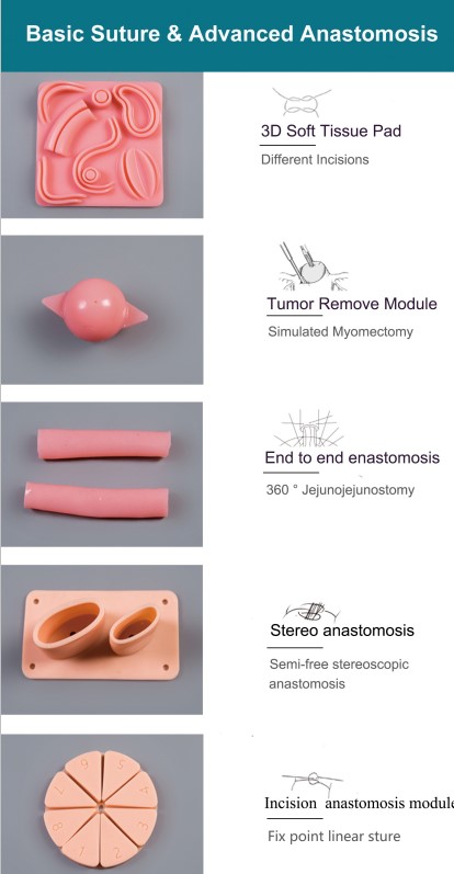 Basic suture and advanced anastomosis practice modules for the Medi-Lap trainer
