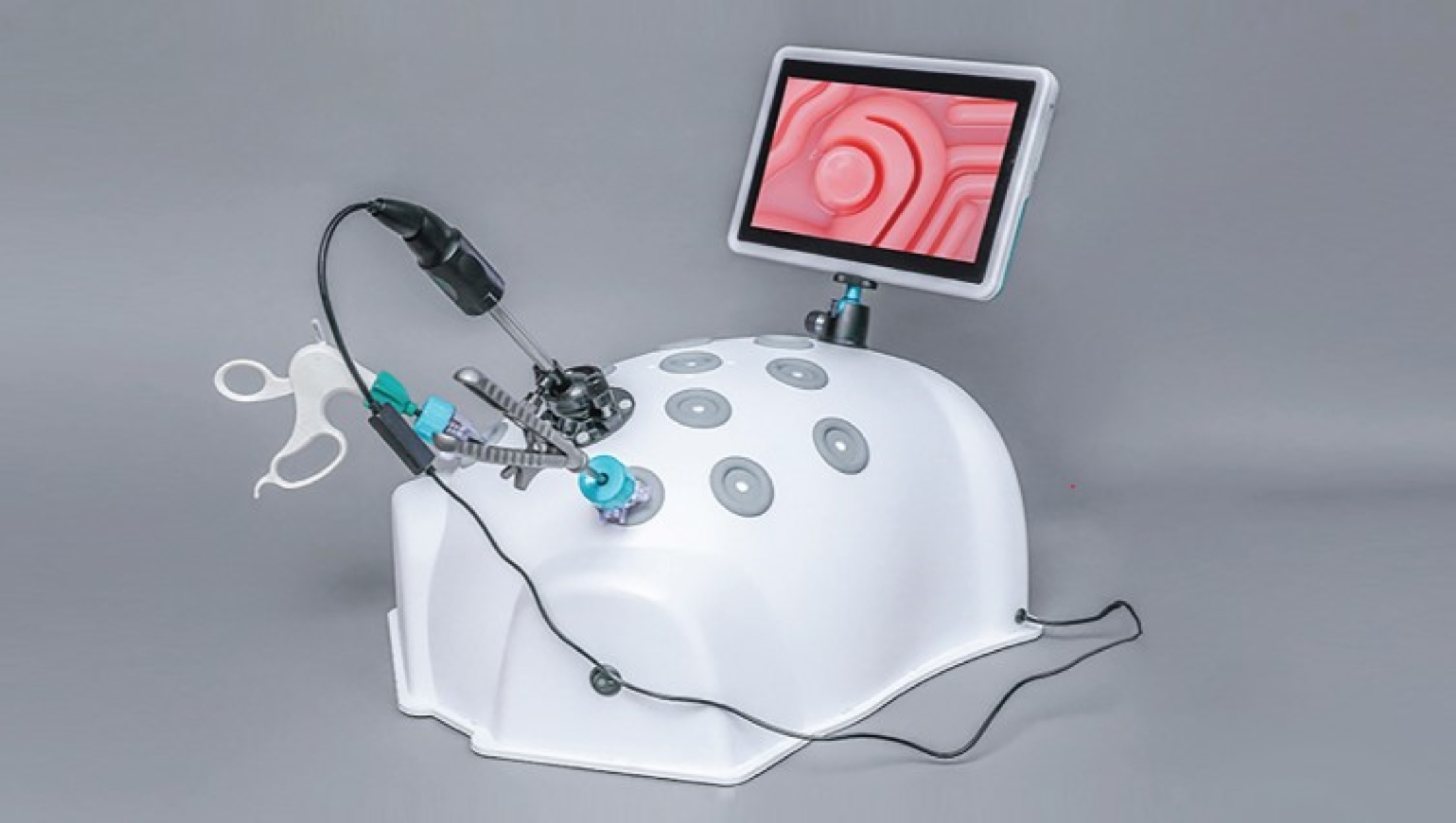 Medi-Lap laparoscopic and thoracoscopic trainer with rotatable screen and abdomen-shaped training torso